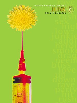 Junk - ebook